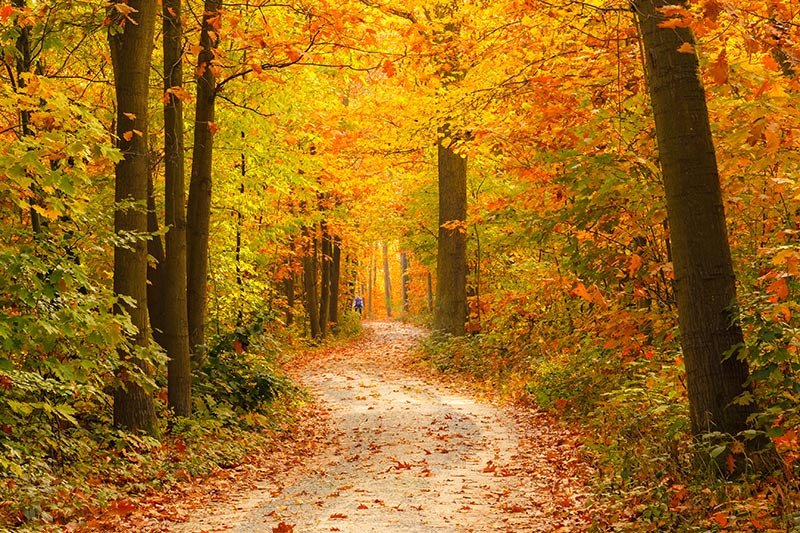 Fall Getaway Packages